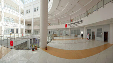 Hacettepe University