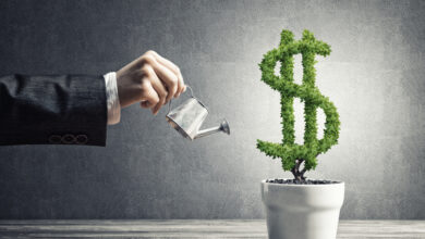 Best Investment Sectors for Foreigners in Turkey