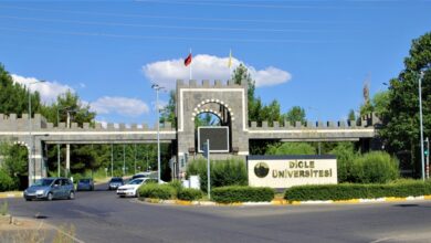 dicle-university