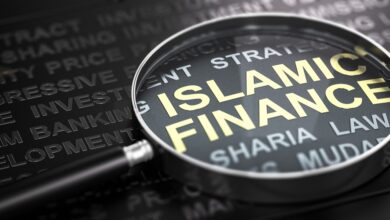 Islamic Finance System in Turkey