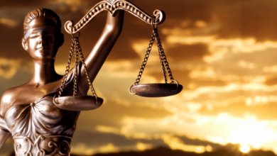 Liability of Notification & Penal Provisions in Law no. 4817
