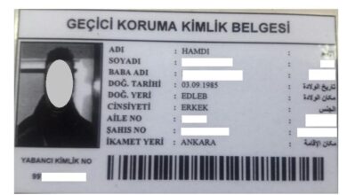 Regulation on the Employment of Temporary Protection Holders in Turkey