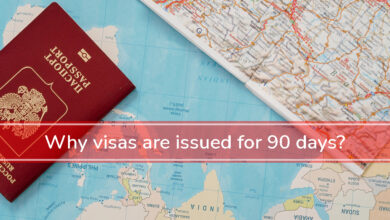 Why visas are issueed for 90 days?