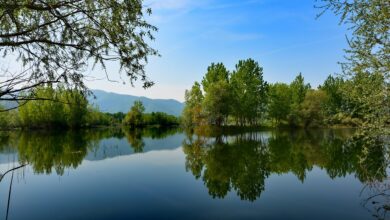 Discover Sakarya | Places to Viisit