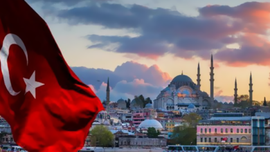 How to use Turkish Words?