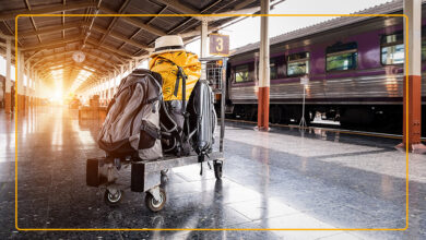 Immigration to the Relevants in Turkey