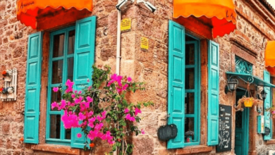 Ayvalik District Guide