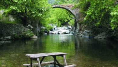 Burhaniye District Guide