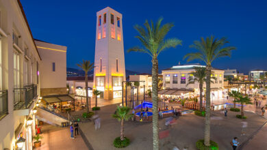 Bornova District Guide