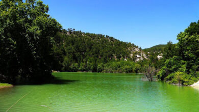 Cameli District Guide