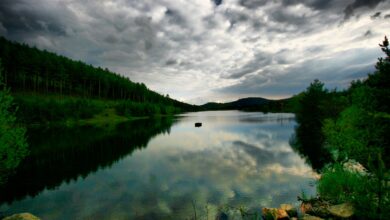 Camlidere District Guide