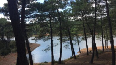 Cekmekoy District Guide