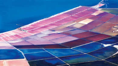 Cigli District Guide