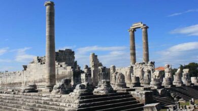 Didim District Guide