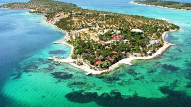 Dikili Dİstrict Guide