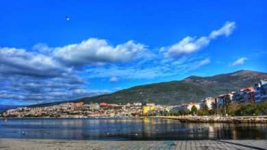 Gemlik District Guide
