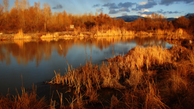 Gudul District Guide