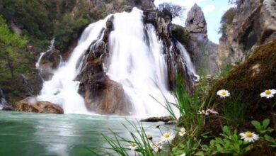 Gundogmus District Guide