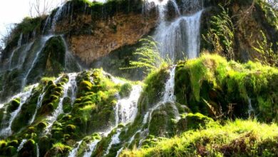 Guney District Guide