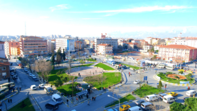 Gungoren District Guide