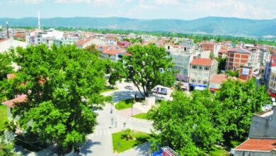 Gursu District Guide