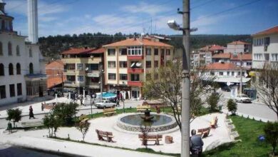 Harmancik District Guide