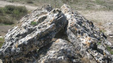 Honaz District Guide