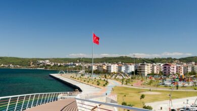 Izmir Aliaga District Guide