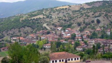 Kinik District Guide