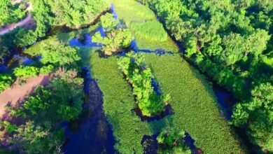 Karacabey District Guide