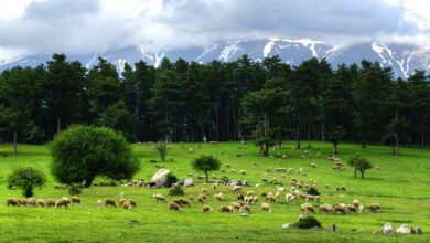 Keles District Guide