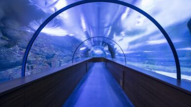 Mamak District Guide