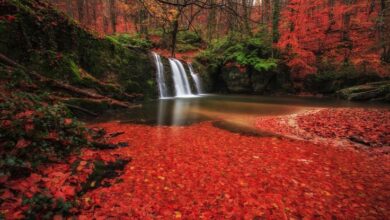 Mustafakemalpasa District Guide