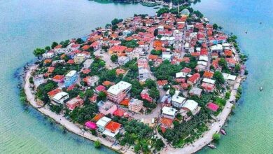 Nilufer District Guide