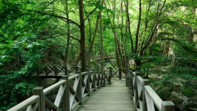 Orhaneli District Guide