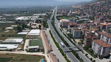 Orhangazi District Guide