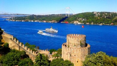 Sariyer District Guide