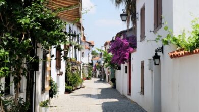 Seferihisar District Guide