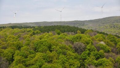 Balikesir Susurluk District Guide