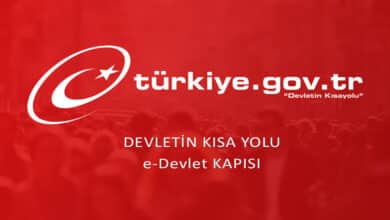 Foreign Nationals Will Be Able to Apply for Mobile Device Registrations From E-government.