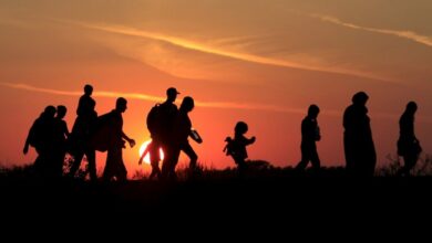 What is Irregular Migration and Irregular Migrant?