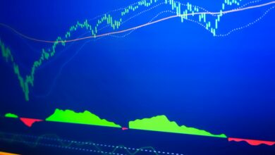 Interest of foreign investors in Turkey