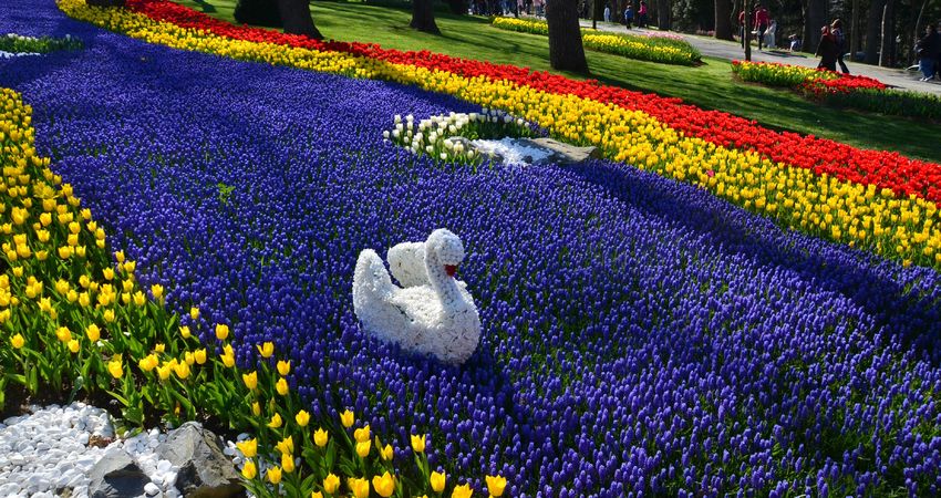 Istanbul Tulip Festival 2023 » Expat Guide Turkey