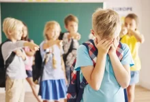 Peer Bullying Combating Programs