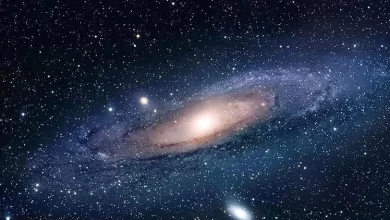 Dark Matter First Trace Found