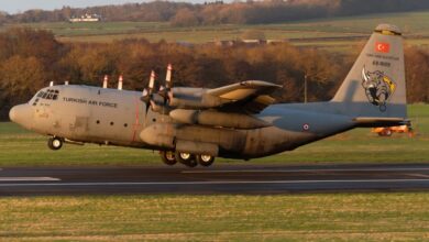 Georgia Plane Crash 20 Martyrs