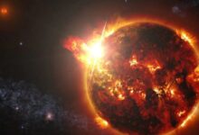 Exoplanet Stellar Storm