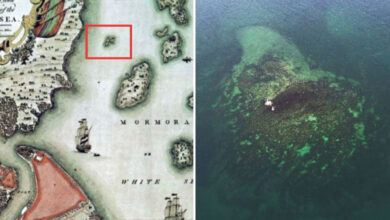 Vordonisi Island Reappeared