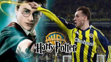 Kerem Aktürkoğlu Harry Potter Copyright